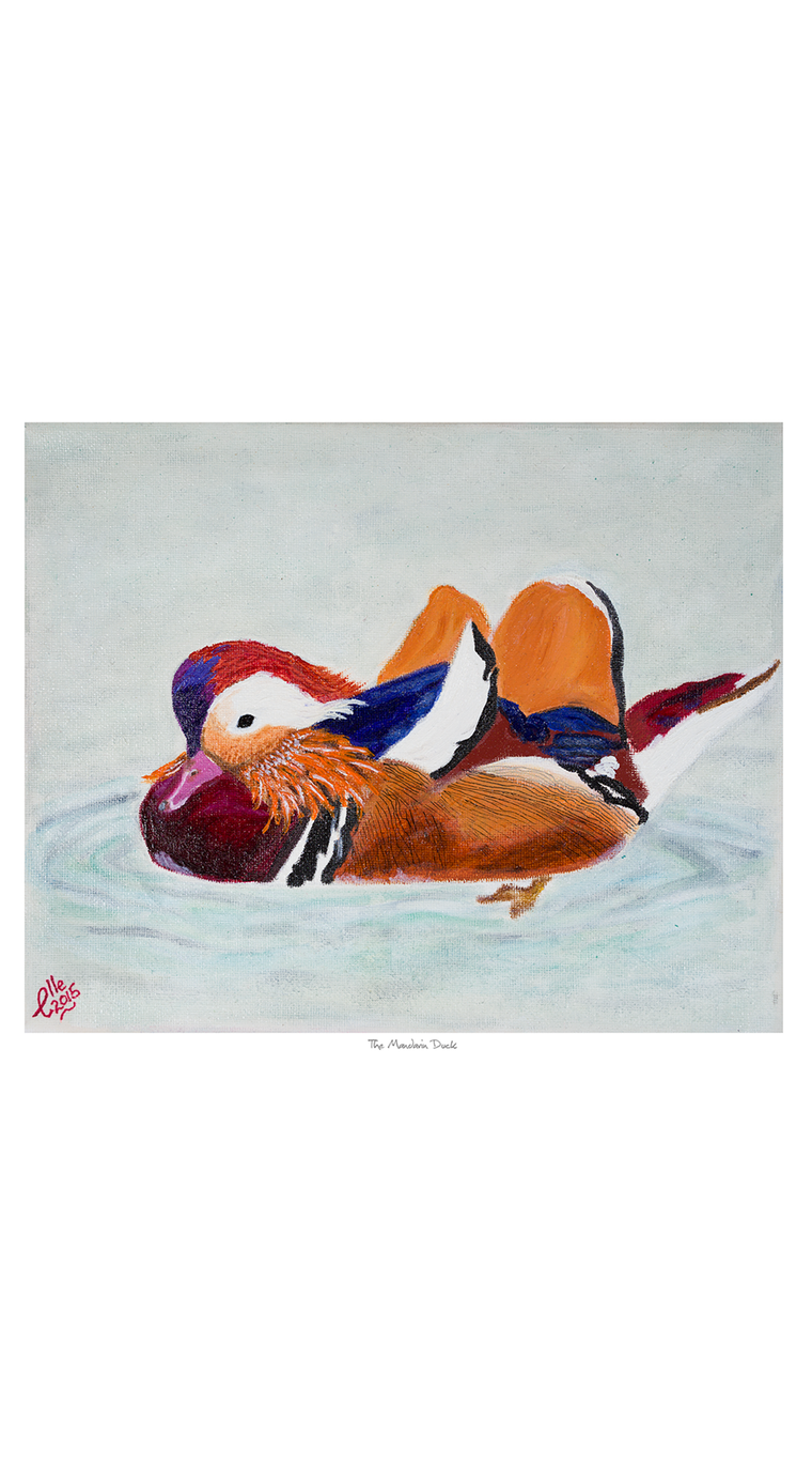 Limited Edition Giclee Print The Mandarin Duck animal art endangered species Elle Smith Inspired By Elle