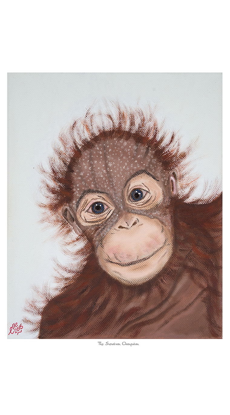Limited Edition Giclee Print Sumatran Orangutan endangered animal art print Elle Smith Inspired By Elle