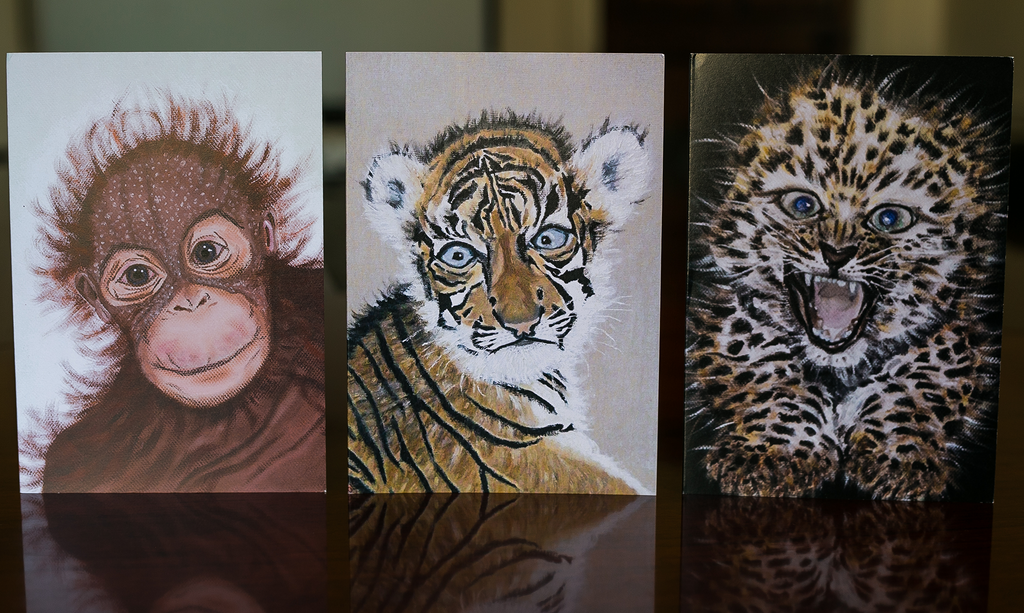 Set of Animal Art Luxury Greeting Cards Sumatran Orangutan Sumatran Tiger Amur Leopard Endangered Animal cards Elle Smith Inspired By Elle