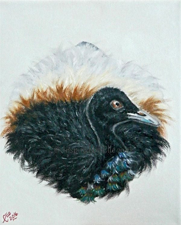 Animal Art Painting Grey-Winged Trumpeter by Elle Smith Inspired By Elle endangered species
