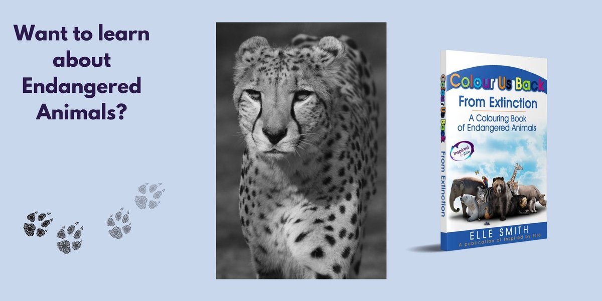 Colour Us Back From Extinction Endangered Animal Colouring Book by Elle Smith